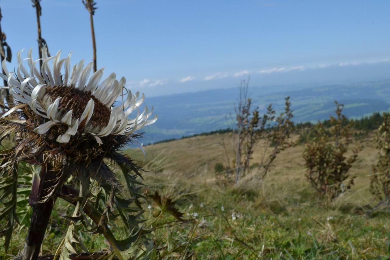 Appartamento Bauernhof Feurstein Andelsbuch Esterno foto